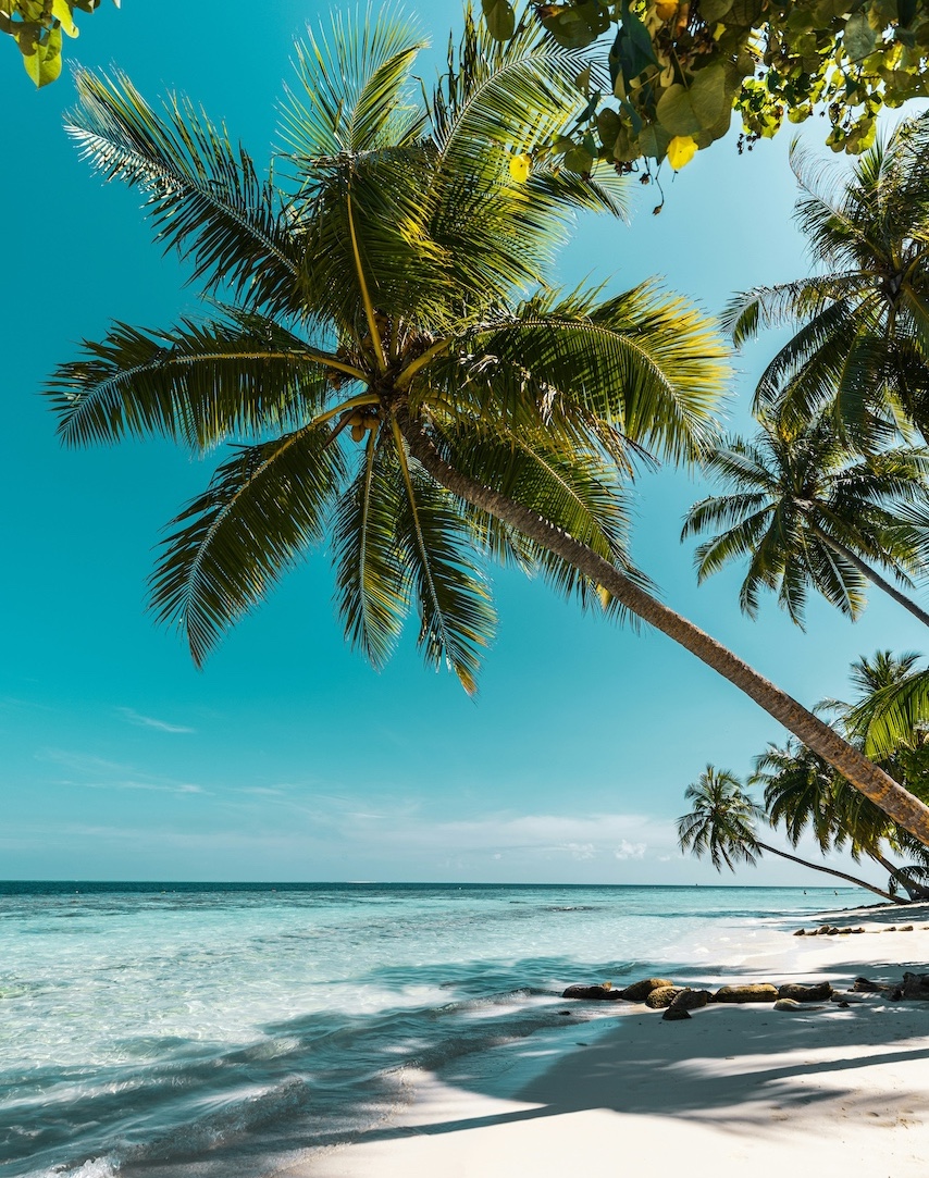 simon-spring-3ws2fq3VtXk-unsplash